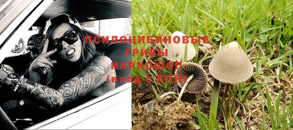 мяу мяу мука Арсеньев