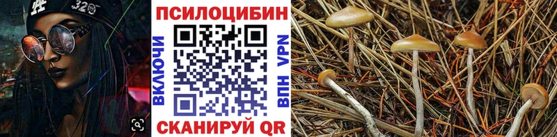 Галлюциногенные грибы мухоморы Полесск